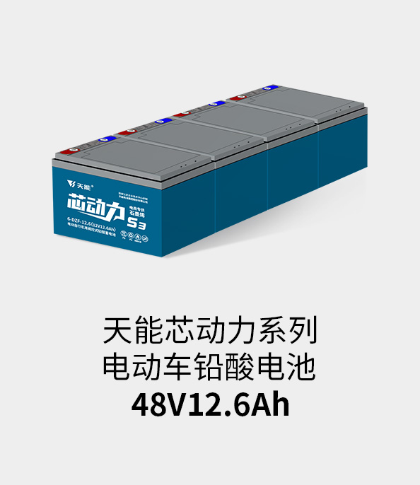 大润发贵宾厅电池48v12ah