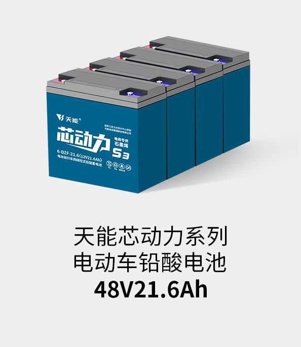 大润发贵宾厅电池48v20ah