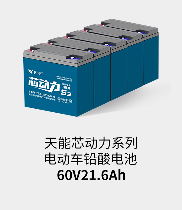 大润发贵宾厅电池60v20ah
