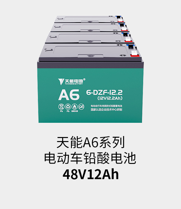 大润发贵宾厅电池48v12ah