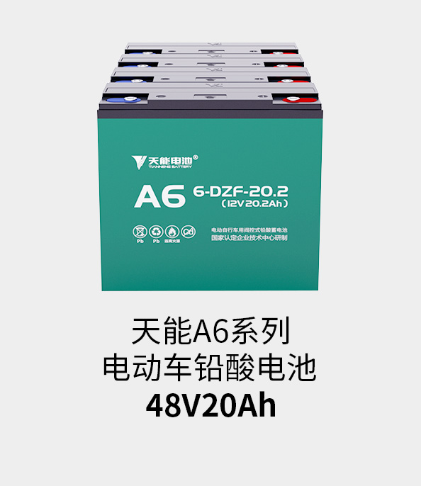 大润发贵宾厅电池48v20ah