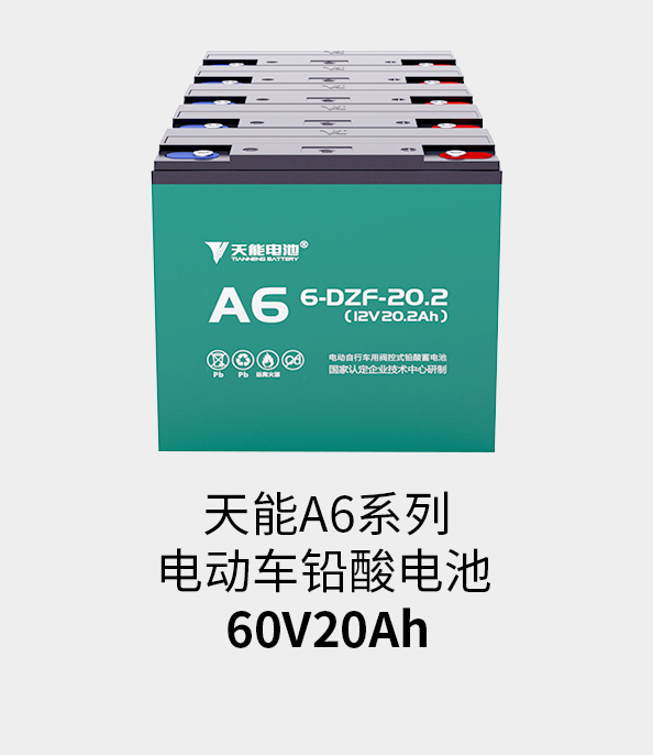 大润发贵宾厅电池60v20ah