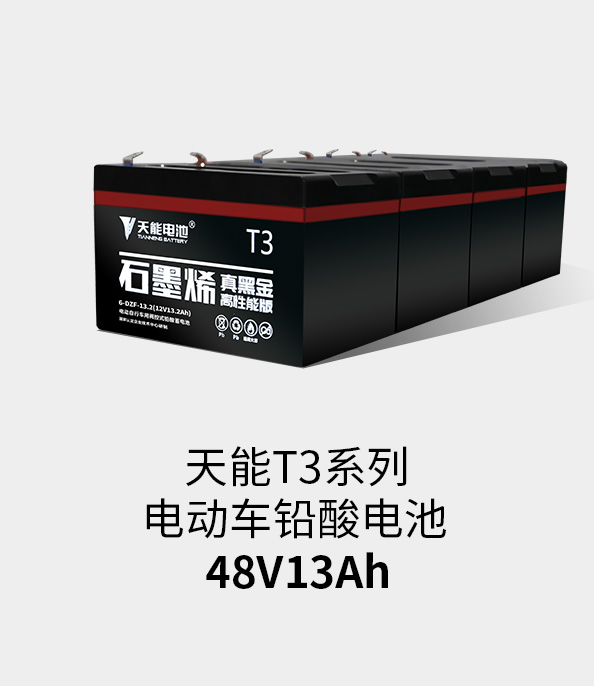 大润发贵宾厅T3系列48v13ah
